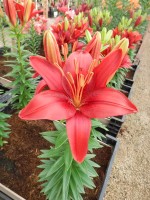 [5014 Tiny Hope No01.JPG]